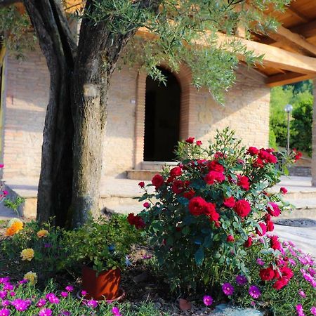 Agriturismo La Tana Città di Castello Zewnętrze zdjęcie