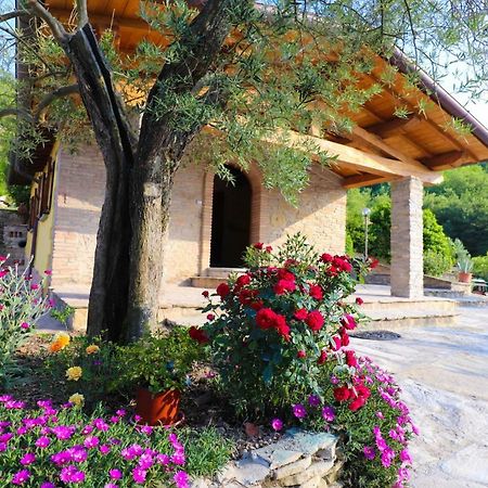 Agriturismo La Tana Città di Castello Zewnętrze zdjęcie