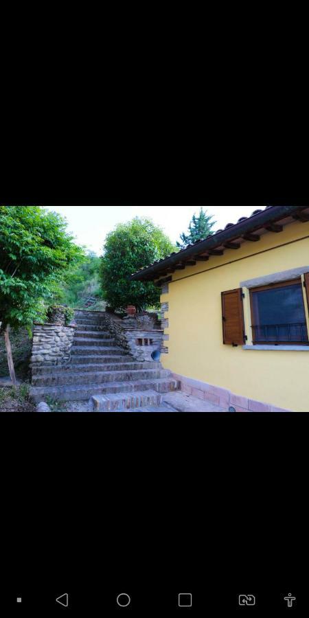 Agriturismo La Tana Città di Castello Zewnętrze zdjęcie