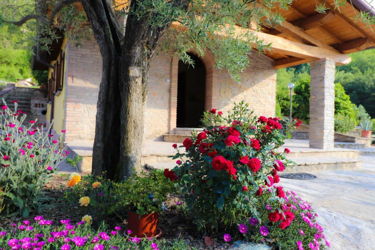 Agriturismo La Tana Città di Castello Zewnętrze zdjęcie