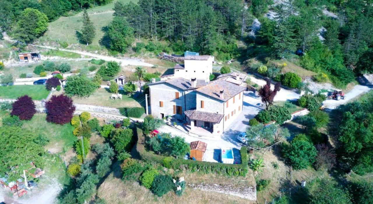 Agriturismo La Tana Città di Castello Zewnętrze zdjęcie